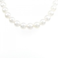 【新品】シルバークラスプ アコヤパール ネックレス 7-7.5mm