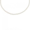 シルバークラスプ アコヤパール ネックレス 3.5-4mm