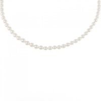 シルバークラスプ アコヤパール ネックレス 3.5-4mm
