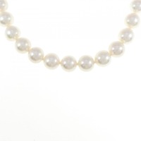 シルバークラスプ アコヤパール ネックレス 8-8.5mm