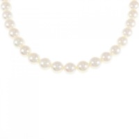 シルバークラスプ アコヤパール ネックレス 6.5-7mm