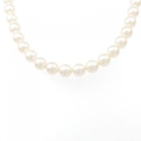 シルバークラスプ アコヤパール ネックレス 6.5-7mm