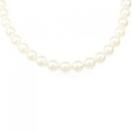 シルバークラスプ アコヤパール ネックレス 7-7.5mm
