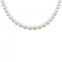 シルバークラスプ アコヤパール ネックレス 6.5-7mm