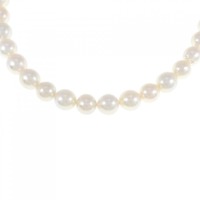 シルバークラスプ アコヤパール ネックレス 7-7.5mm