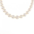 シルバークラスプ アコヤパール ネックレス 7.5-8mm