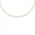 シルバークラスプ アコヤパール ネックレス 5.5-6mm