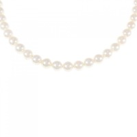 シルバークラスプ アコヤパール ネックレス 5.5-6mm