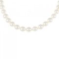 シルバークラスプ アコヤパール ネックレス 7.5-8mm