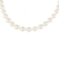 シルバークラスプ アコヤパール ネックレス 7.5-8mm