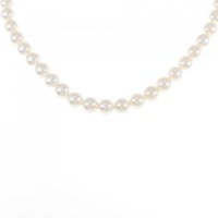 シルバークラスプ アコヤパール ネックレス 6-6.5mm