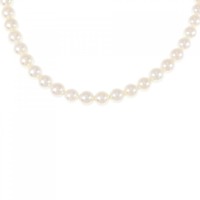 シルバークラスプ アコヤパール ネックレス 6-6.5mm