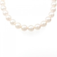 シルバークラスプ アコヤパール ネックレス 8.5-9mm