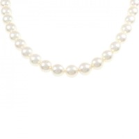 シルバークラスプ アコヤパール ネックレス 7.5-8.0mm