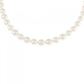 シルバークラスプ アコヤパール ネックレス 6-6.5mm