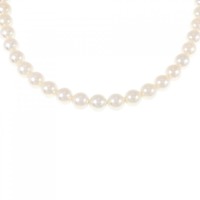 シルバークラスプ アコヤパール ネックレス 6-6.5mm