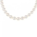 シルバークラスプ アコヤパール ネックレス 7.5-8mm