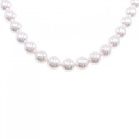 【新品】シルバークラスプ アコヤパール ネックレス 8.5-9mm