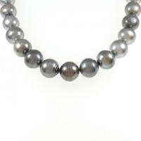 シルバークラスプ 黒蝶パール ネックレス 12.3-14.8mm