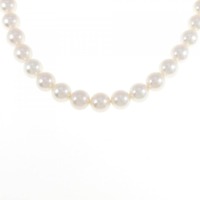 シルバークラスプ アコヤパール ネックレス 7.5-8mm
