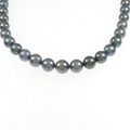 シルバークラスプ 黒蝶パール ネックレス 8.2-10.5mm
