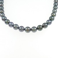 シルバークラスプ 黒蝶パール ネックレス 8.2-10.5mm