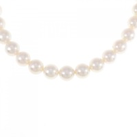 シルバークラスプ アコヤパール ネックレス 7.5-8mm