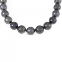 シルバークラスプ 黒蝶パール ネックレス 10-12mm