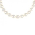 シルバークラスプ アコヤパール ネックレス 9-9.5mm