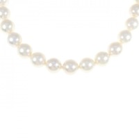 シルバークラスプ アコヤパール ネックレス 9-9.5mm