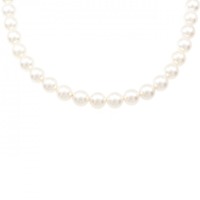 シルバークラスプ アコヤパール ネックレス 6.5-7mm