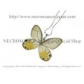 【ネクロマンス NECROMANCE】リアルバタフライウィングネックレス Real Butterfly Wing Necklace ＜キモンスカシジャノメ＞ 蝶々 羽