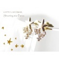 【メール便ＯＫ】Shooting star　流れ星　　ピアス