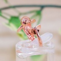 ☆甘えん坊アニマル☆ 『イルカ PINK』