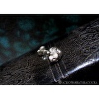 スカルピアス 『涅槃の蓋』 / Silver925