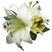 ハワイアン フラワー ヘアクリップ　リリー/オーキッド　フラ用品