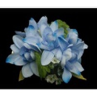 ハワイアンヘアクリップ チューブローズヘアクリップ ブルー