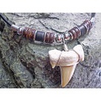 海のお守り★サメ歯化石チョーカー【TCK-3M-102】