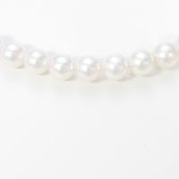 【新品】SV／K14WG アコヤパールネックレス・イヤリング 花珠