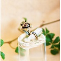 ☆甘えん坊アニマル☆ 『ヒョウ』