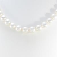 シルバークラスプ アコヤパールネックレス