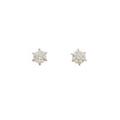 【リメイク】プラチナ／ST ダイヤモンドピアス 0．313ct・0．313ct・F・VVS2・EXT