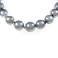 シルバークラスプ クロチョウパールネックレス