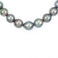 シルバークラスプ クロチョウパールネックレス