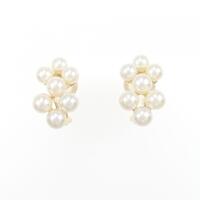 ミキモト アコヤパールイヤリング