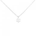 PT ダイヤモンド ネックレス 0.321CT F SI1 GOOD
