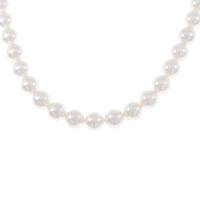 シルバークラスプ アコヤパール ネックレス 7.5?8mm