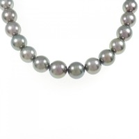 シルバークラスプ 黒蝶パール ネックレス 10.0-12.0mm