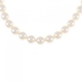 シルバークラスプ アコヤパール ネックレス 7.5-8mm