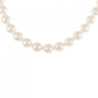 シルバークラスプ アコヤパール ネックレス 7.5-8mm